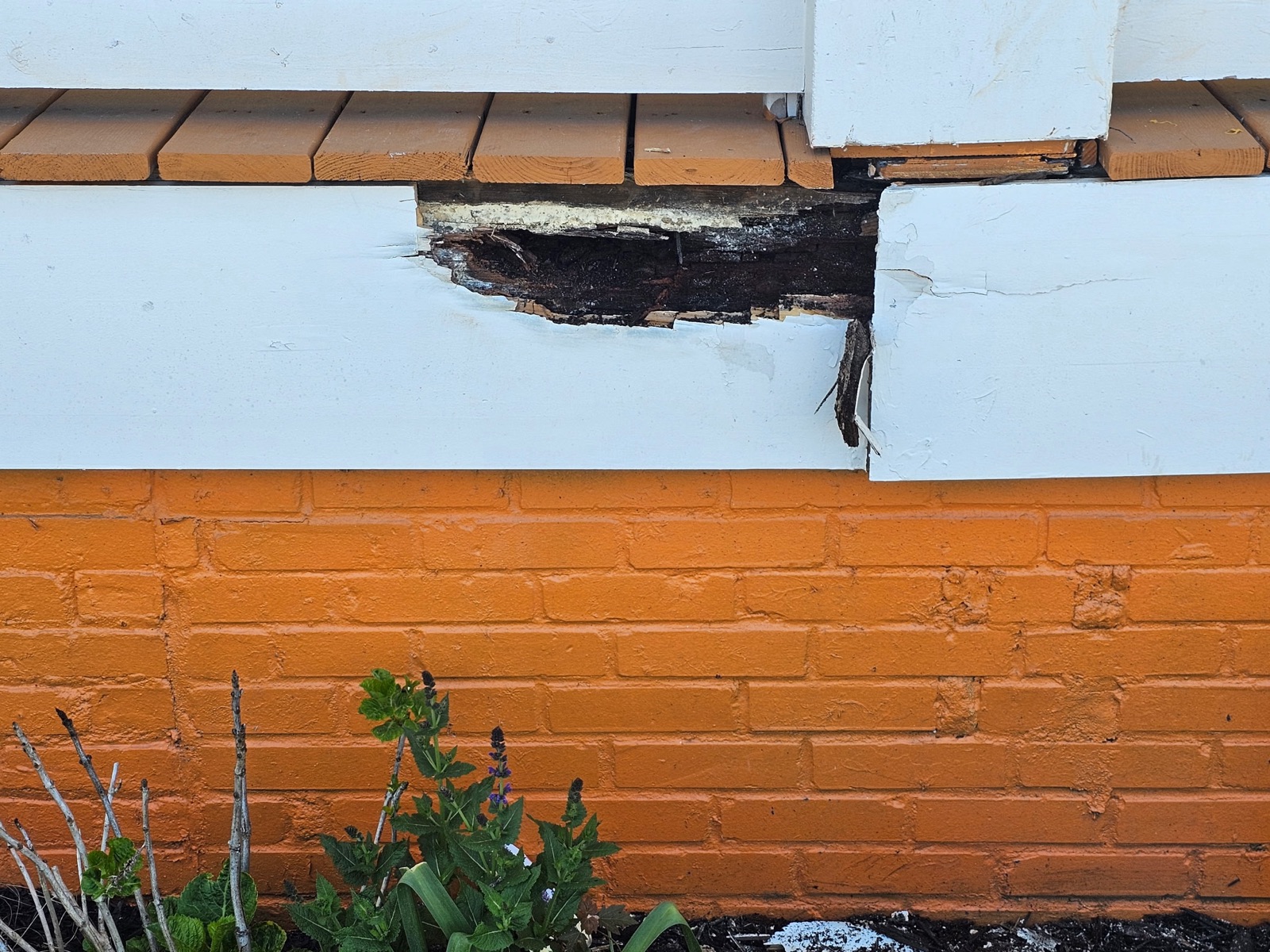 Rotted fascia and trim